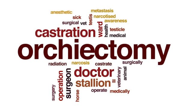 Orchiectomy animated word cloud, text design animation.