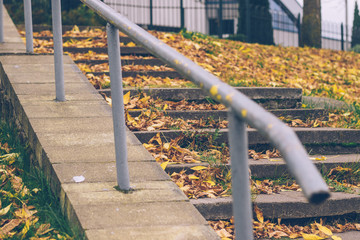 Autumn leaves on steps