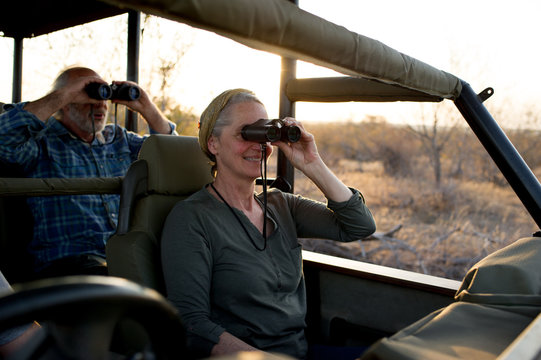Game Viewing