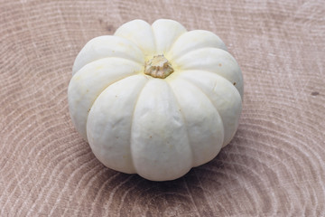 White pumpkin on cut wood background