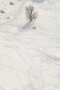 Tracks in the snow