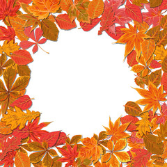 Vector Autumn season watercolor hand drawn card design with drawn orange yellow, red fall Maple oak forest tree leaves. Greeting postcard, banner decorative copy space on white