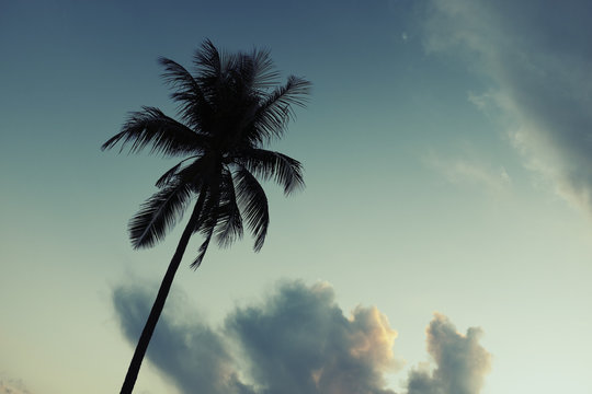 Dawn.