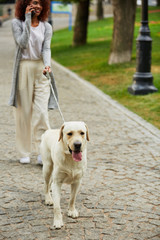 Young busy beautiful lady walking with dog and talking on phone