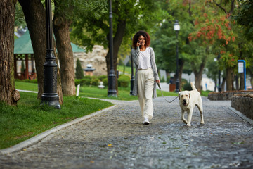 Young busy beautiful lady walking with dog and talking on phone