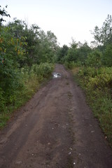 Fototapeta na wymiar Muddy trail into the woods 3