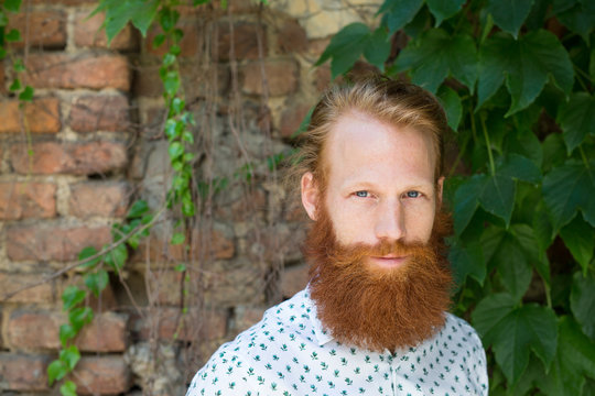 Man with long red beard portrait against brik wall
