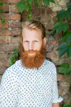 Man with long red beard portrait against brik wall