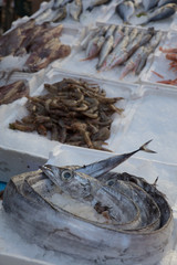 Mediterranean fish exposed