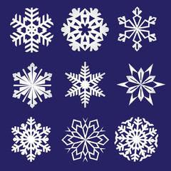 Set of snowflakes. Fine winter ornament. Snowflake collection