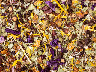 Assorted natural medical herbs background