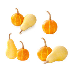 set of pumpkin decorative round and in the shape of a pear isolated