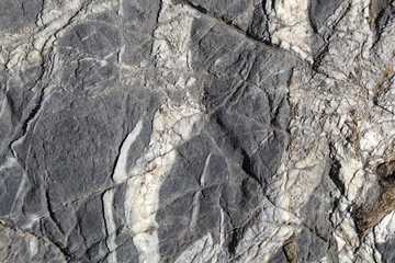 Rock Surface of a Jurassic carbonate