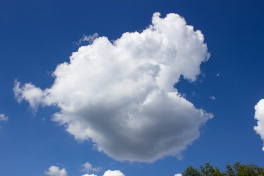 Billowy Clouds - Big Fish in the Sky