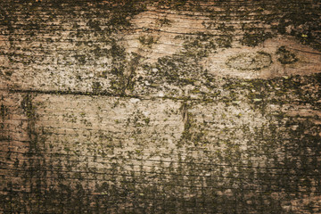 Obraz premium Dark wood texture background surface with old natural pattern or dark wood texture. Grunge surface with wood texture background. Vintage timber texture background. 