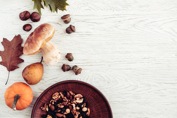Autumn harvest on white wooden table from above. Little pumpkin, mushroom, acorns, nuts, fall leaves. Copyspace for text.