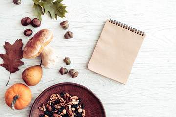 Autumn harvest on white wooden table from above. Little pumpkin, mushroom, acorns, nuts, fall leaves. Copyspace for text.