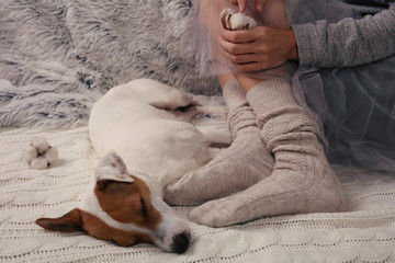 Cozy lazy day at home. Woman wearing soft warm wool socks relaxing at home, playing with dog, jack...