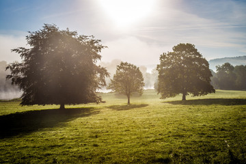 Mist, trees and Sunrise over Shropshire country side UK.