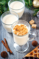 Homemade eggnog with cinnamon for Christmas and winter holidays