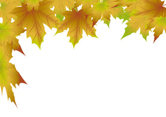Naklejka na ściany i meble vector background of yellow autumn leaf with place for text