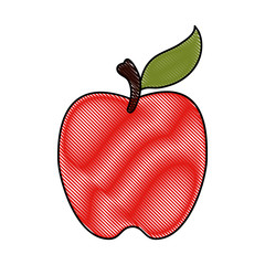 apple fruit icon image vector illustration design