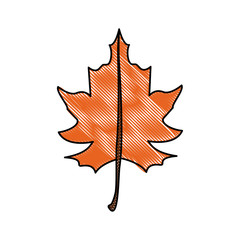 fall leaf icon image vector illustration design