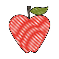 apple fruit icon image vector illustration design