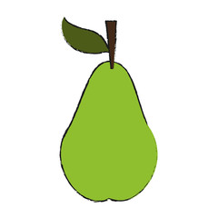 pear fruit icon image vector illustration design