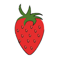 strawberry fruit icon image vector illustration design