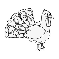 turkey animal icon image vector illustration design