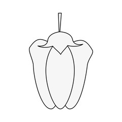 bell pepper vegetable icon image vector illustration design