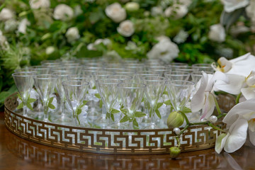 shot plastic glasses 