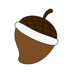 two acorn icon image vector illustration graphic design