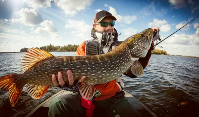 Foto op Canvas Fishing. Fisherman and trophy Pike. © vitaliy_melnik