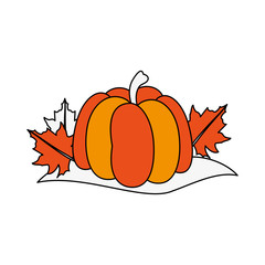 pumpkin fruit icon image vector illustration design