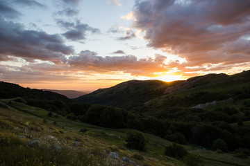 Fototapeta na wymiar Deep Golden Sunset Crimean Peninsula Flower Hills Summer Landscape