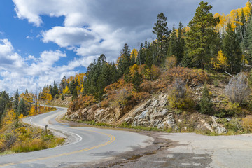 Obraz premium beautiful windy mountain road through a forest with yellow aspen in the fall