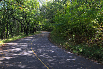 Winding highway threading thru the woodlands