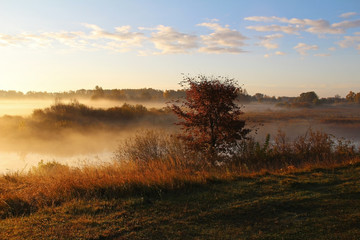 Fototapeta premium Misty nature landscape on early autumn morning. Russia.