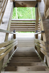 interior of wooden beams