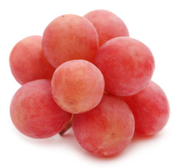 Organic red grapes