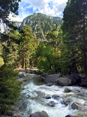 Merced River, Yosemite Valley in Yosemite National Park, USA
