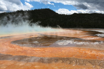 Gayser Yellow Stone