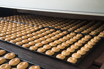 Production line of baking cookies on factory, food industry, closeup