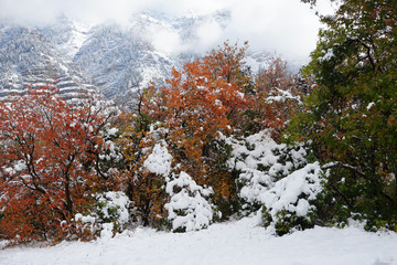 Cascade Mountain In Utah With Snow 02