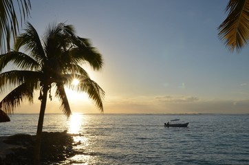 Fototapeta na wymiar Barque de pêcheur avec coucher de soleil et palmier sur l'île Maurice, Océan indien
