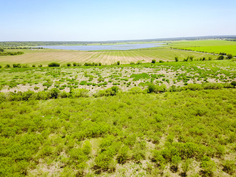 Aerial View Of Solar Farm Near Austin, Texas, USA. Renewable Energy Background.