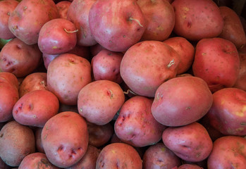 Red Potatoes