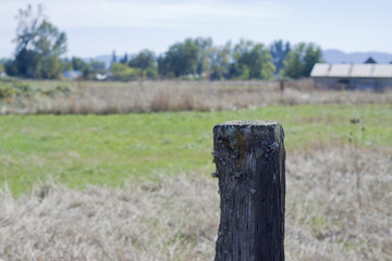 Old wood post in dry field